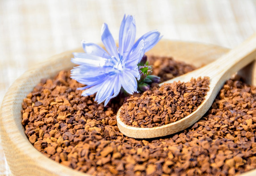 Chicory root extract, a prebiotic ingredient in Flossy & Pure toothpaste