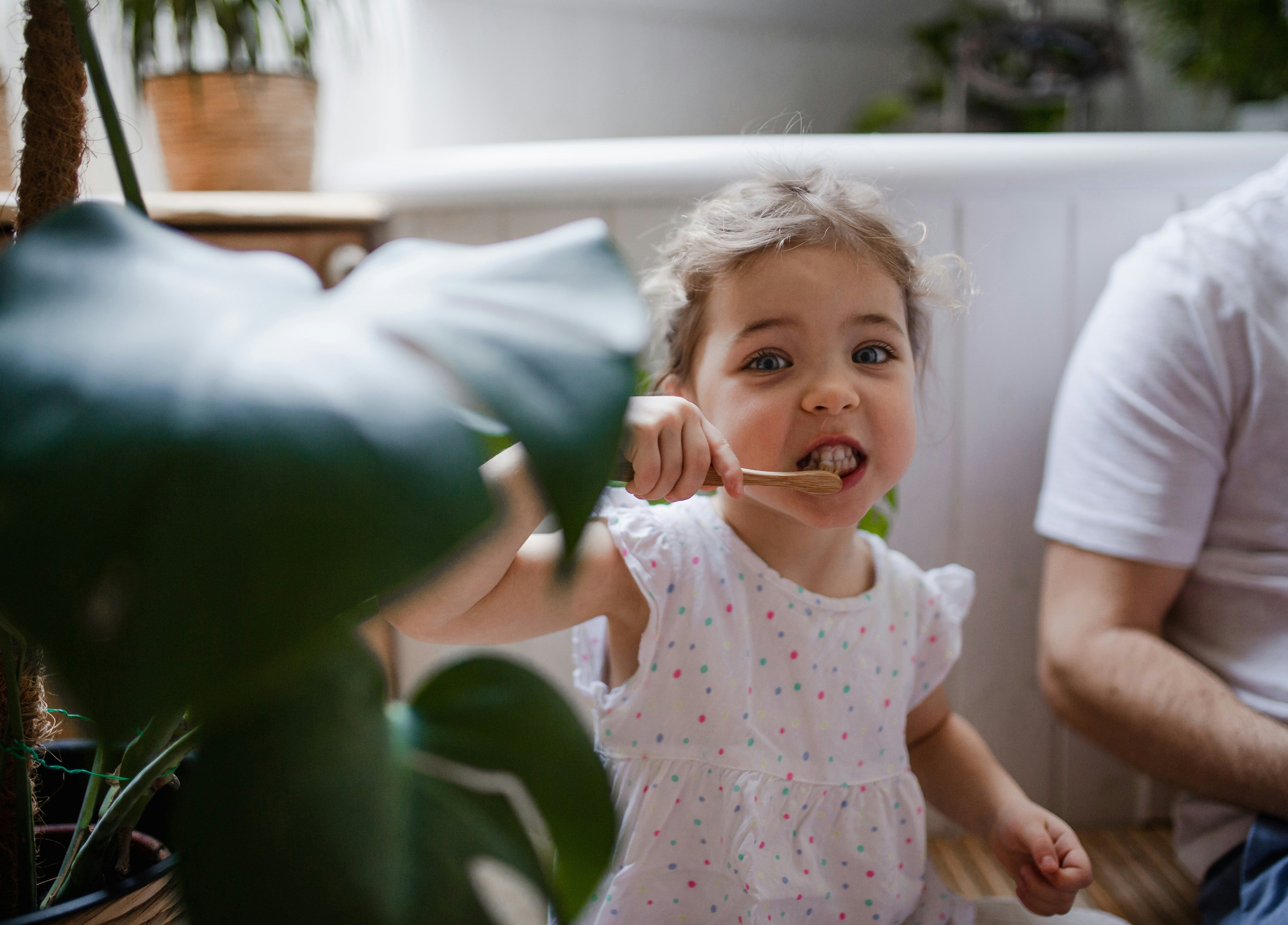 Oral care, reimagined - the story behind Flossy & Pure